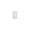 Wall Plate 2-Port White VC-304-J2636/2P/WH