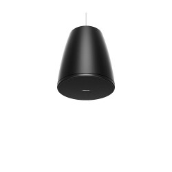 Bose Professional DesignMax DM6P Loudspeakers 1-Pair Black
